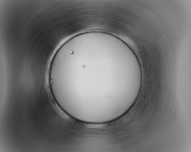 X0000086901296200705141635