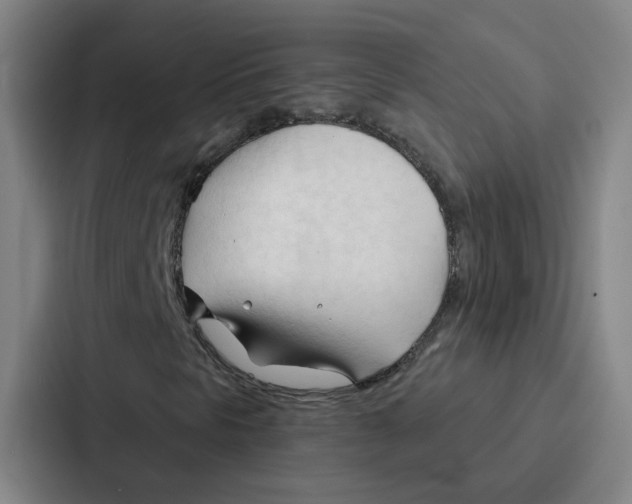 X0000086901297200705141634