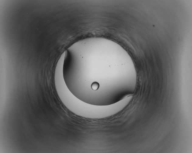 X0000086901298200705141634