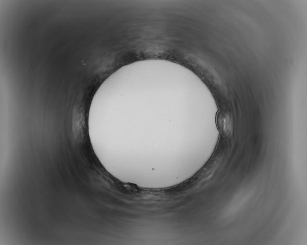 X0000086901299200705141634