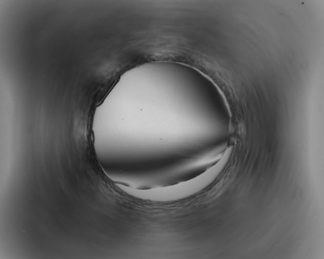 X0000086901300200705141634