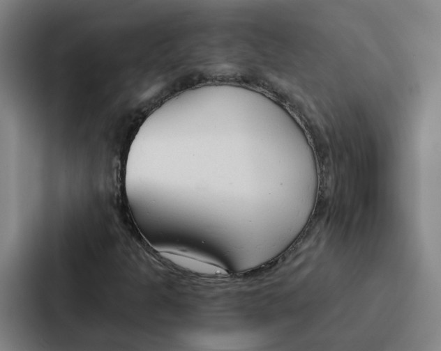 X0000086901301200705141634