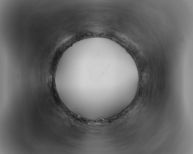 X0000086901302200705141634