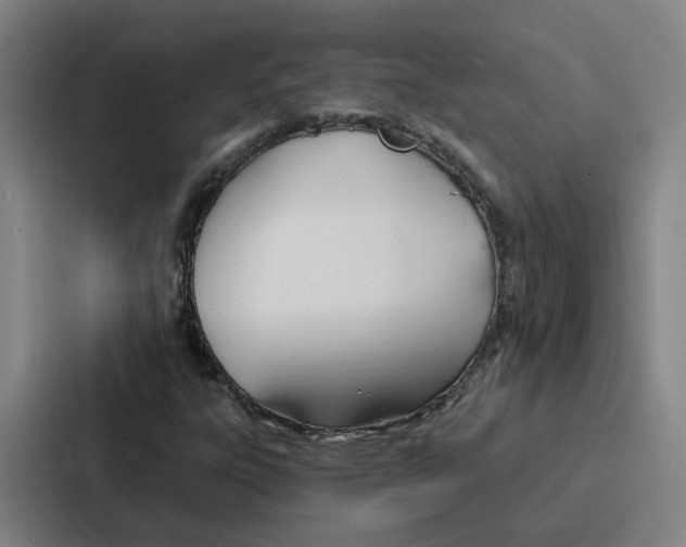 X0000086901303200705141634