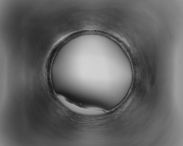 X0000086901311200705141634