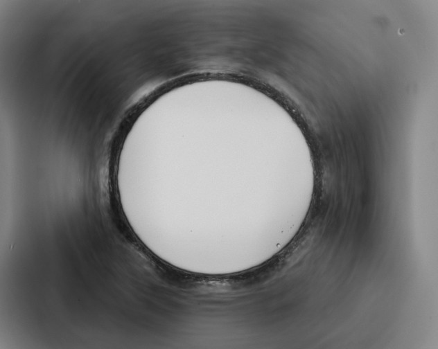 X0000086901315200705141634