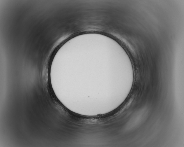 X0000086901317200705141635