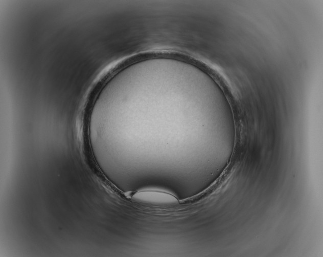 X0000086901319200705141635