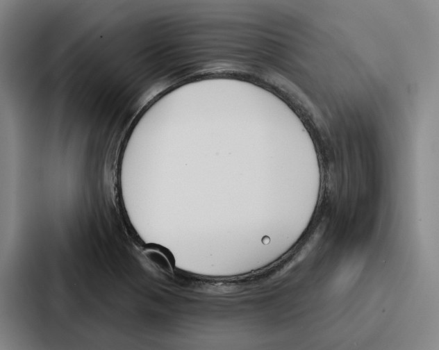 X0000086901321200705141635