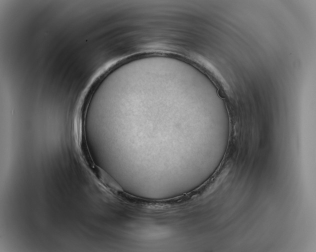 X0000086901323200705141635