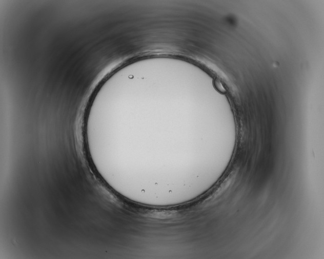 X0000086901325200705141635