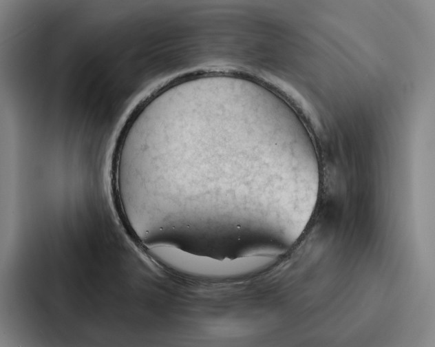 X0000086901327200705141635