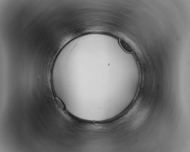 X0000086901329200705141635