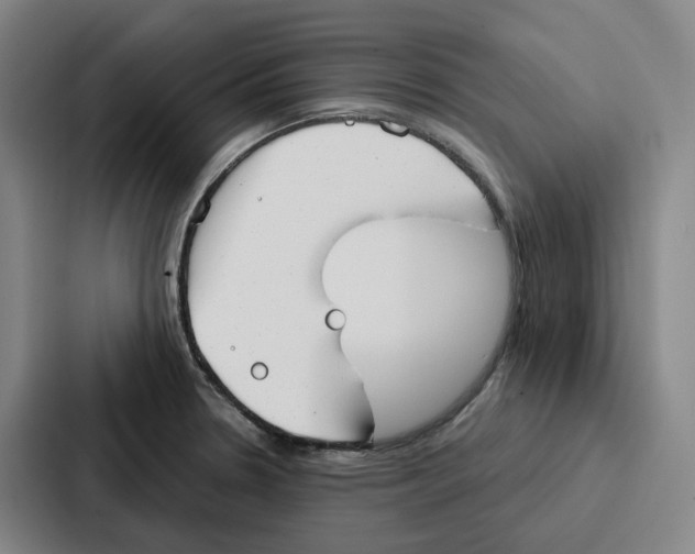 X0000086901330200705141635