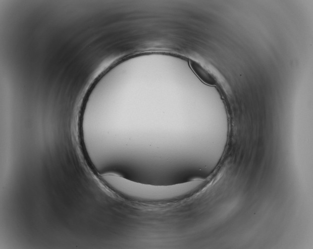 X0000086901333200705141635