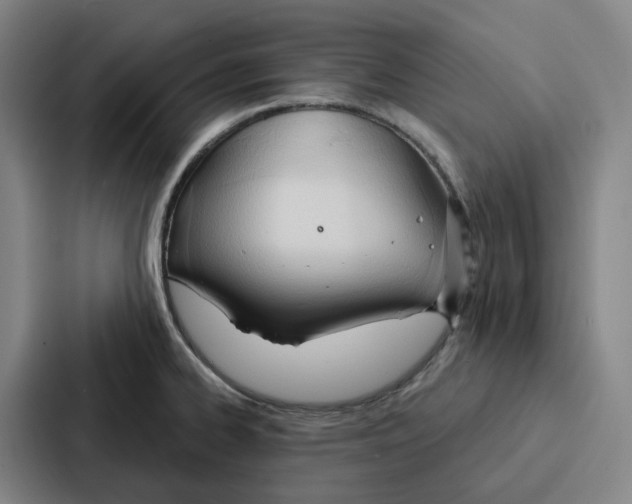 X0000086901334200705141635