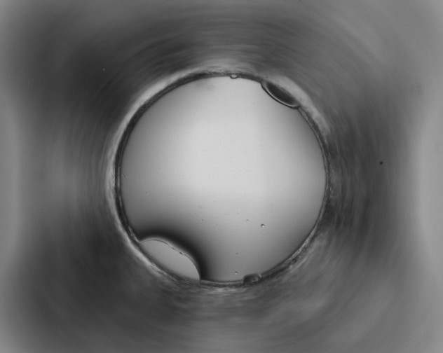 X0000086901335200705141635