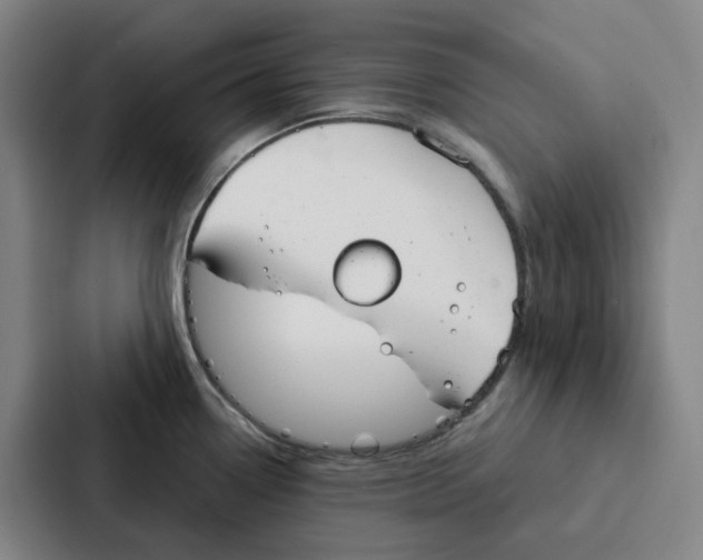 X0000086901338200705141635