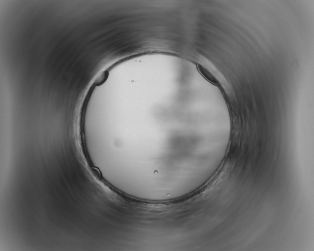 X0000086901339200705141635