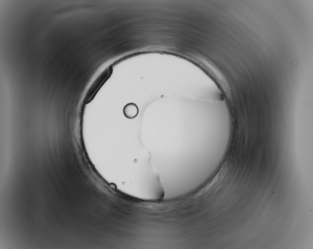 X0000086901340200705141635