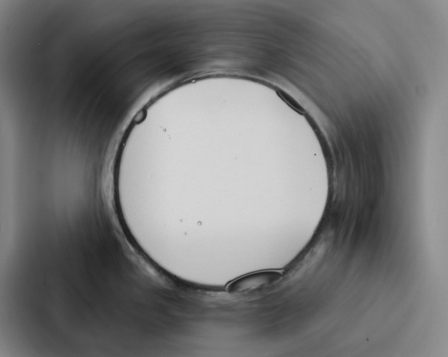 X0000086901341200705141635