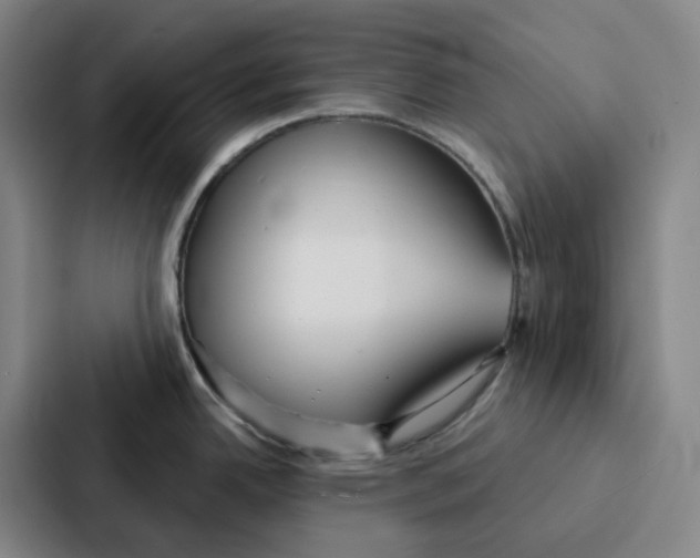 X0000086901342200705141635