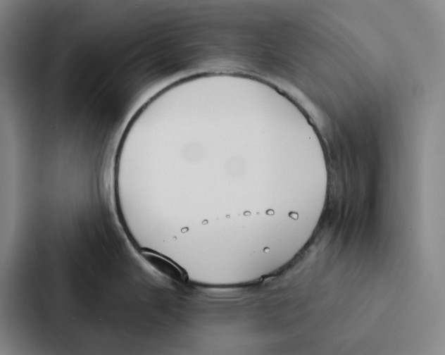 X0000086901343200705141635