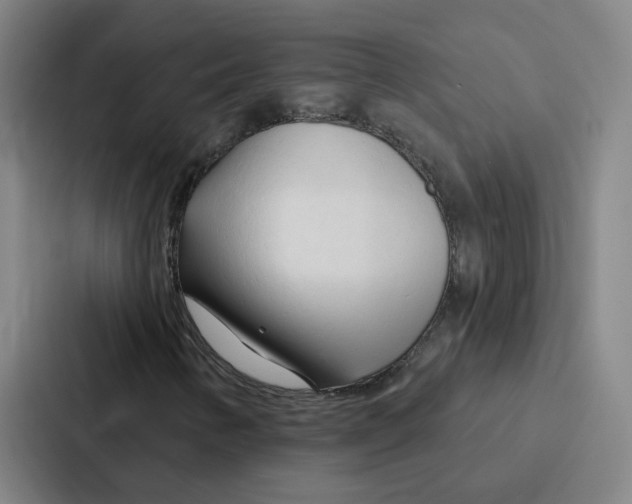 X0000086901346200705141634