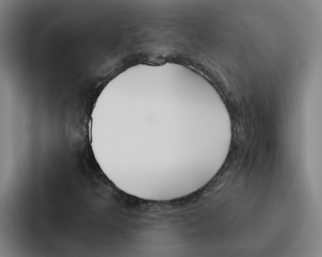 X0000086901349200705141634