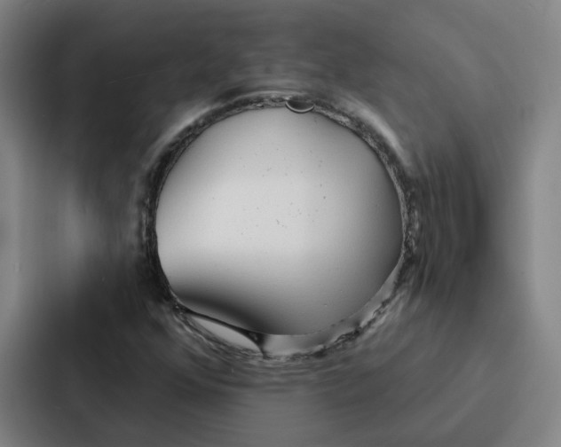 X0000086901352200705141634