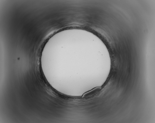 X0000086901355200705141634