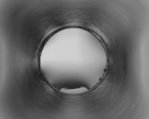 X0000086901356200705141634