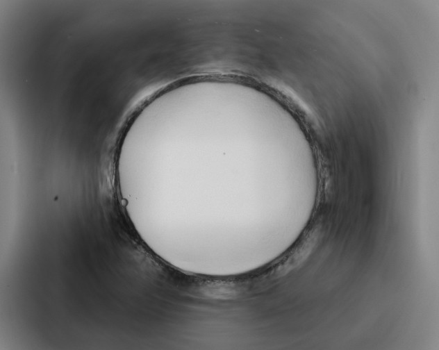 X0000086901358200705141634