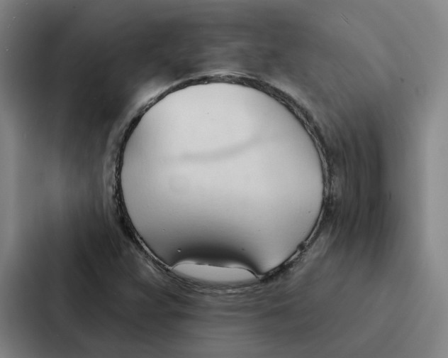 X0000086901359200705141634