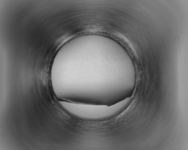 X0000086901361200705141634