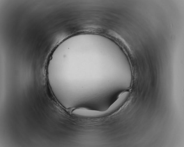 X0000086901362200705141634