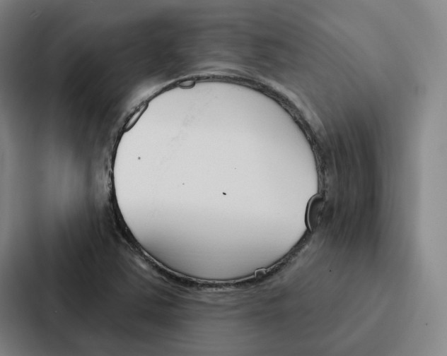 X0000086901363200705141634