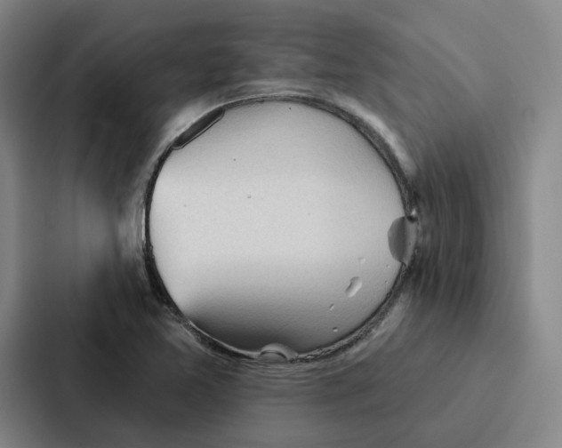 X0000086901365200705141634