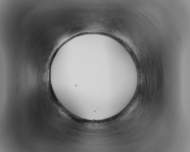 X0000086901366200705141634