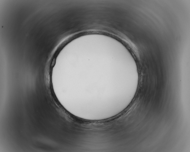 X0000086901368200705141634