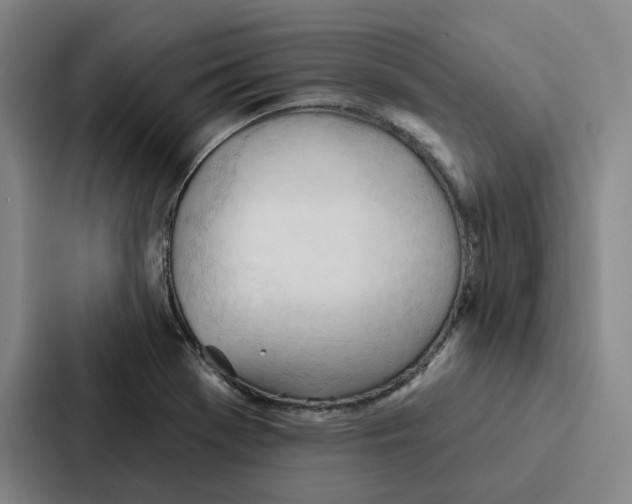 X0000086901369200705141634