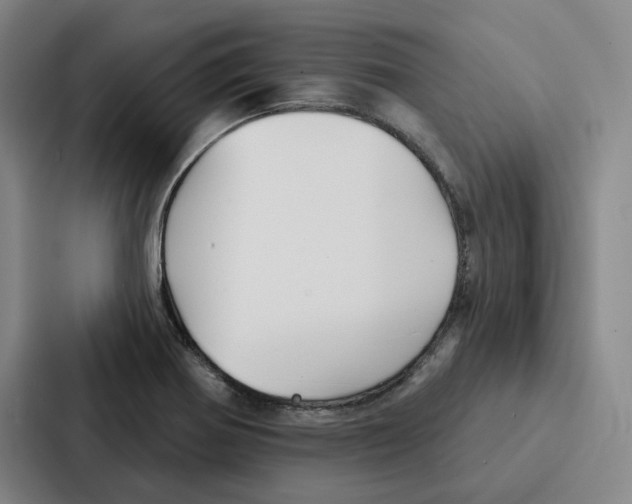 X0000086901370200705141634