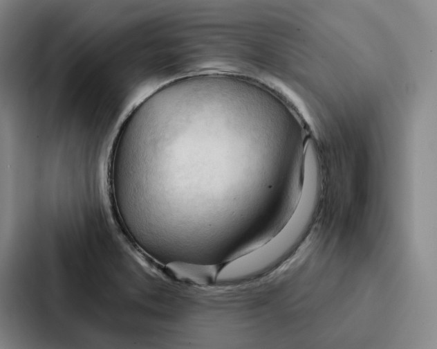 X0000086901373200705141634