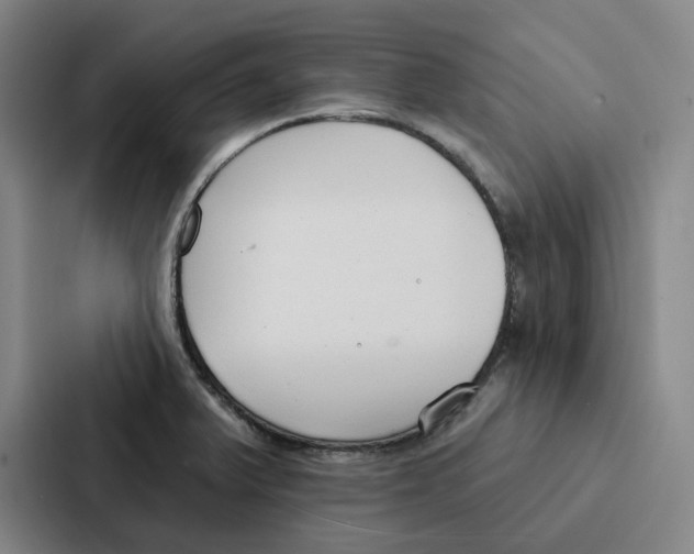 X0000086901375200705141634