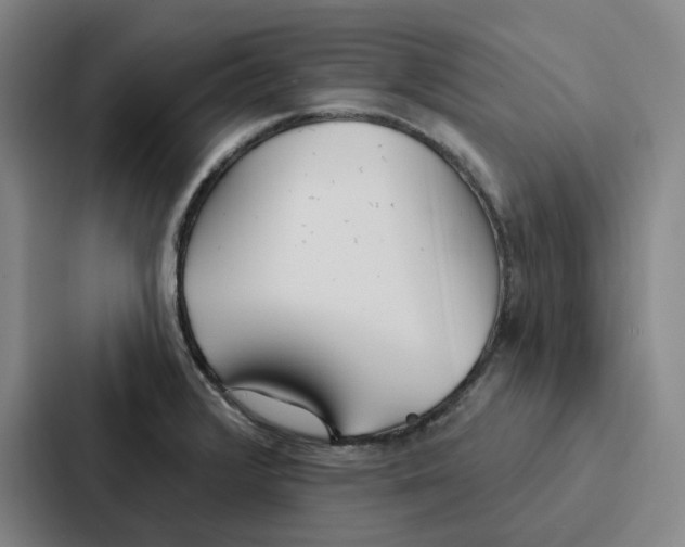 X0000086901376200705141634