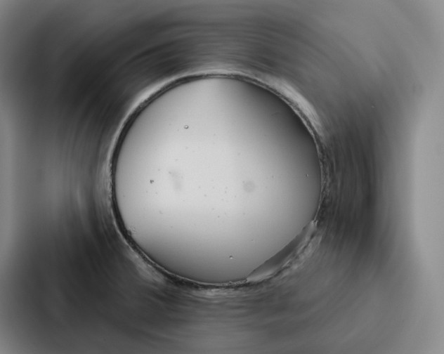 X0000086901380200705141634