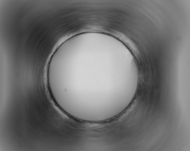 X0000086901382200705141634