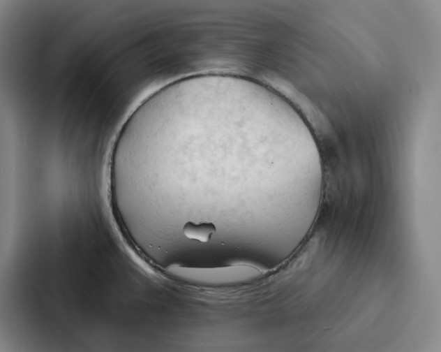 X0000086901383200705141634