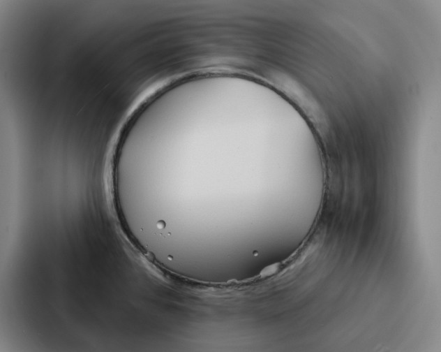 X0000086901384200705141634