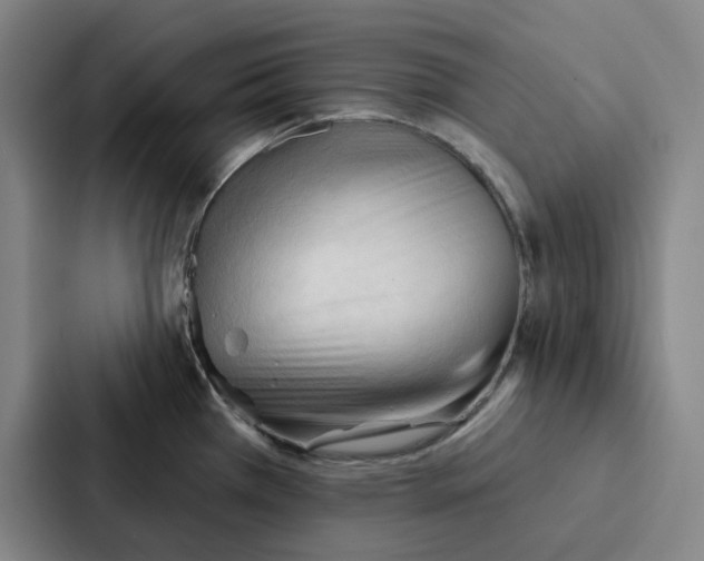 X0000086901385200705141634